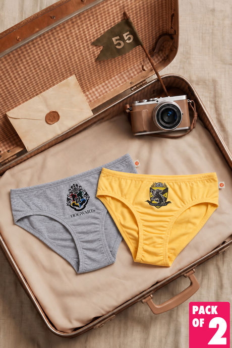 Buy Zivame Girls Harry Potter Briefs (Pack of 2) - Multicolor